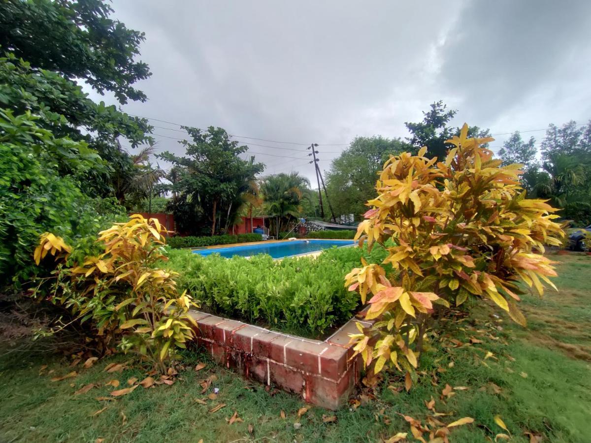 Opulence Resort Awas Alibaug 알리바그 외부 사진